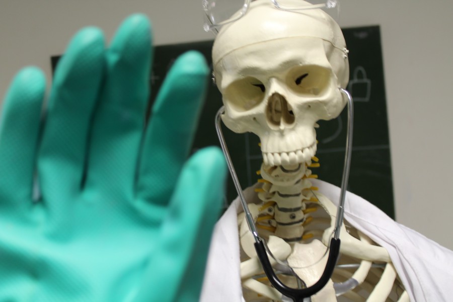 skelett in arztkleidung the lab