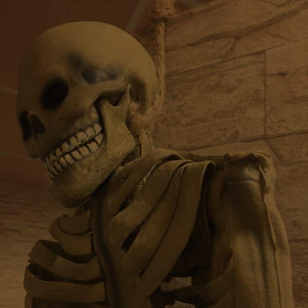pharao skelett pharao skelett