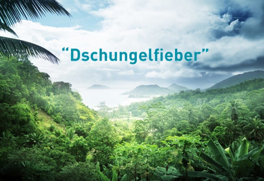 dschungelfieber gruener dschungel